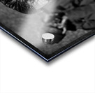 Different Lives Acrylic print