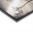 Lone Tree on Buttermere Acrylic print