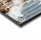 Turning Into Rust Acrylic print