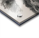 Dartmoor Tree Acrylic print