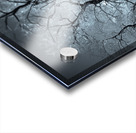 Winter in Central Park Impression Acrylique