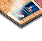 Winslow Embrace Acrylic print