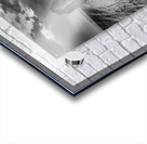 Path to Slains Castle Acrylic print