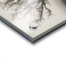 Dartmoor Solitude Impression Acrylique