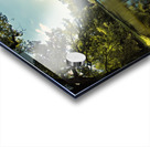 Burg Vischering Acrylic print