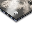 Steps to Scurdie Ness Impression Acrylique