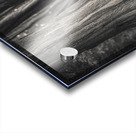 Plas Newydd Trees Impression Acrylique