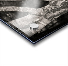 Burghley Birch Tree Impression Acrylique