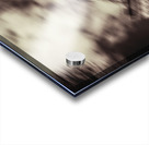 Eiffel Tower in Motion Acrylic print