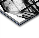 Dutch Greenhouse Acrylic print