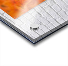 Leaves of Amber Acrylic print