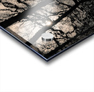 Woodland Waters Impression Acrylique