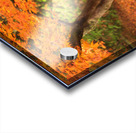 Maple Autumn Beauty Acrylic print