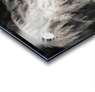 Cypress Leaves Acrylic print