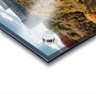 Shinjuku Gyoen National Garden Acrylic print