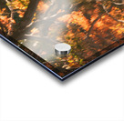 Shinjuku Gyoen Autumn Reflection Impression Acrylique