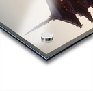 Yasaka Pagoda Impression Acrylique