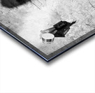 Lamp and Leaf Acrylic print