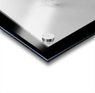 Kyoto House Plant Impression Acrylique