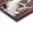 Fushimi Inari Inscription Acrylic print