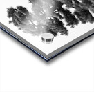 Japanese Black Pine Tree Acrylic print