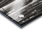 Arashiyama Bamboo Acrylic print