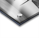 Descent Acrylic print