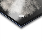 Highland Tree and Peak Acrylic print