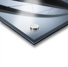 De Hoge Brug Acrylic print