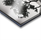 Crummock Water Tree Acrylic print