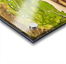 Harris Marshland Acrylic print