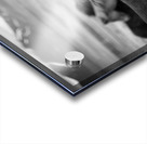 Icelandic Horses Impression Acrylique