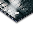 Wilhelminapark Acrylic print