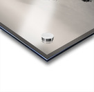 Skye Tree Acrylic print