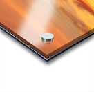 Red Tip Sunset Acrylic print