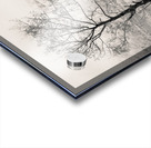 Loch Etive Tree Impression Acrylique