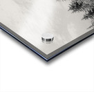 Snowcapped Firs Acrylic print