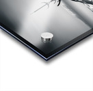 Sun Voyager Acrylic print