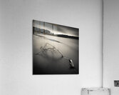 Loch Avich Branch Acrylic Print