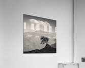 Glen Shiel Tree Impression acrylique