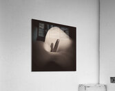 Calla Lily Acrylic Print