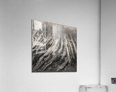 Sandymouth Shoreline Acrylic Print