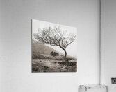 Dinorwic Quarry Ruin Acrylic Print
