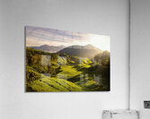 Tea Plantation Sunrise Impression acrylique
