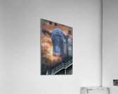Ballymoney Cow Mural Acrylic Print