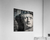 Augustus Acrylic Print