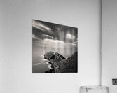 South Stack Lighthouse Acrylic Print