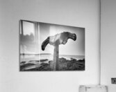 Whalebone Impression acrylique