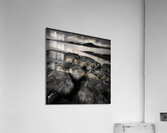 Loch Ewe Impression acrylique