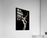 Nude Study No12 Acrylic Print